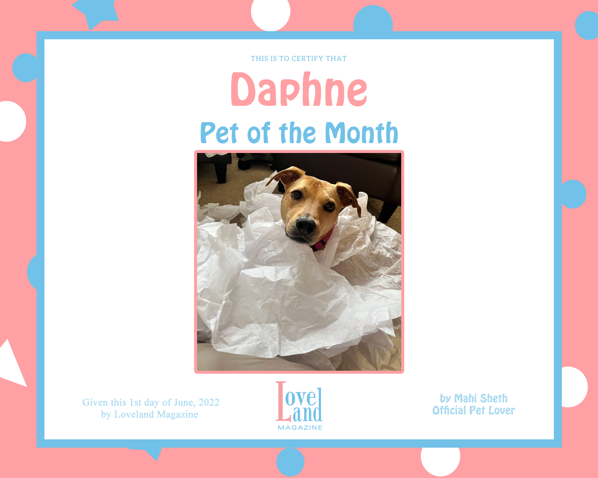 June’s Pet of the Month!