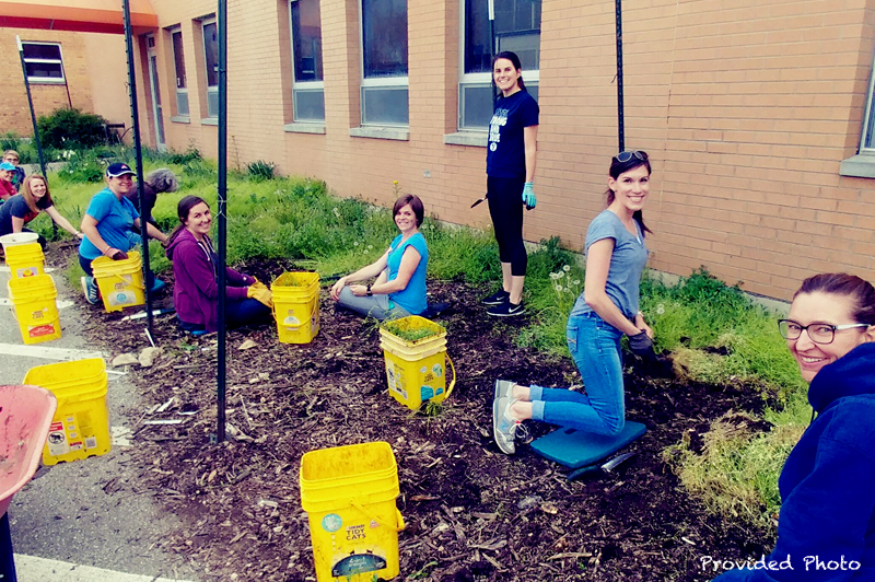 Volunteer with the Loveland Learning Garden and “Nurture Young Minds and Nature”