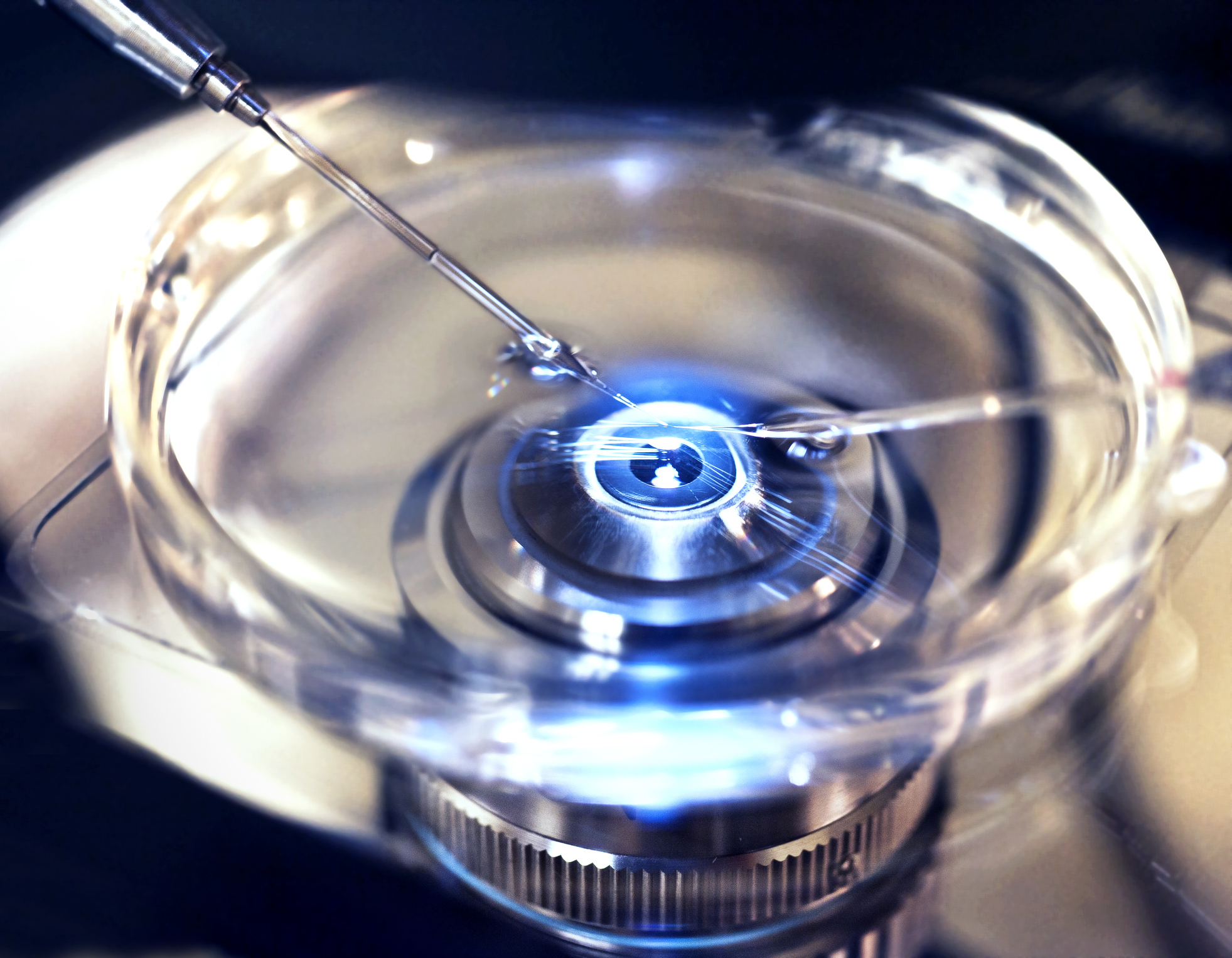 Ohio Senate bill passed with provisions for fertility fraud