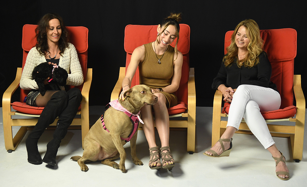 Paws for Miles Joins Cassie Mattia’s Table of Discussions
