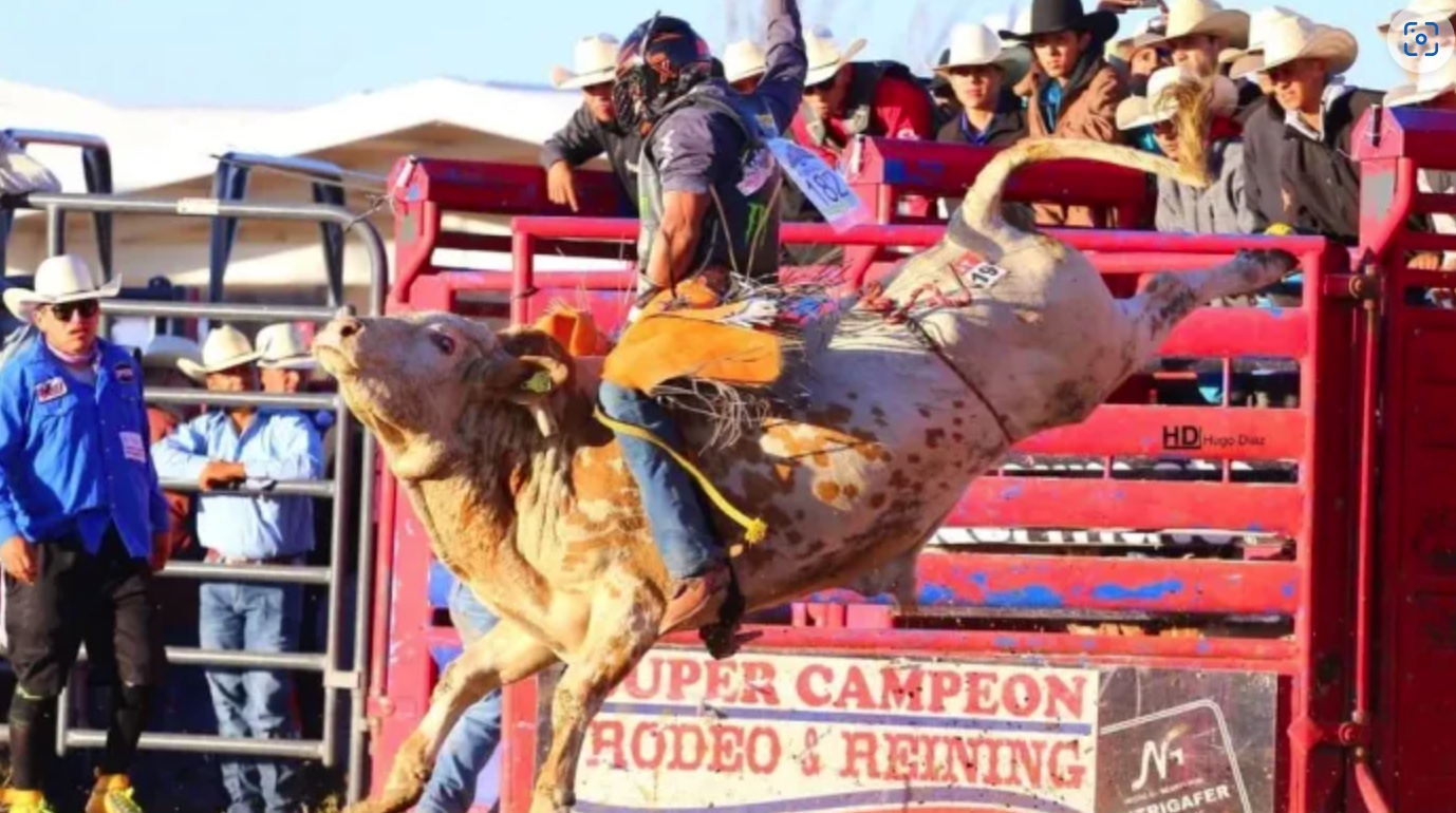Warren County Fair has opened