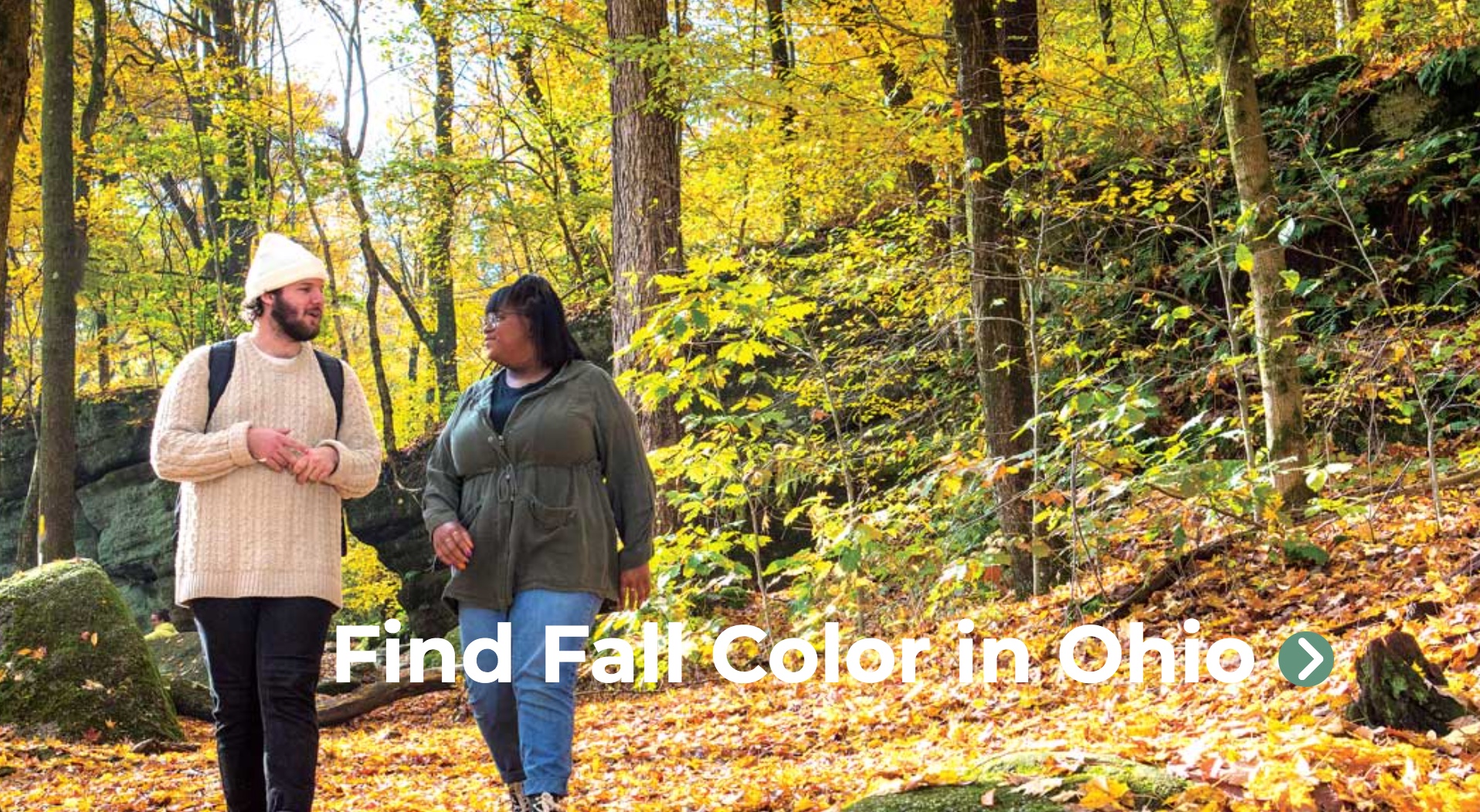 Fall Color Forecast from Ohio Division of Forestry