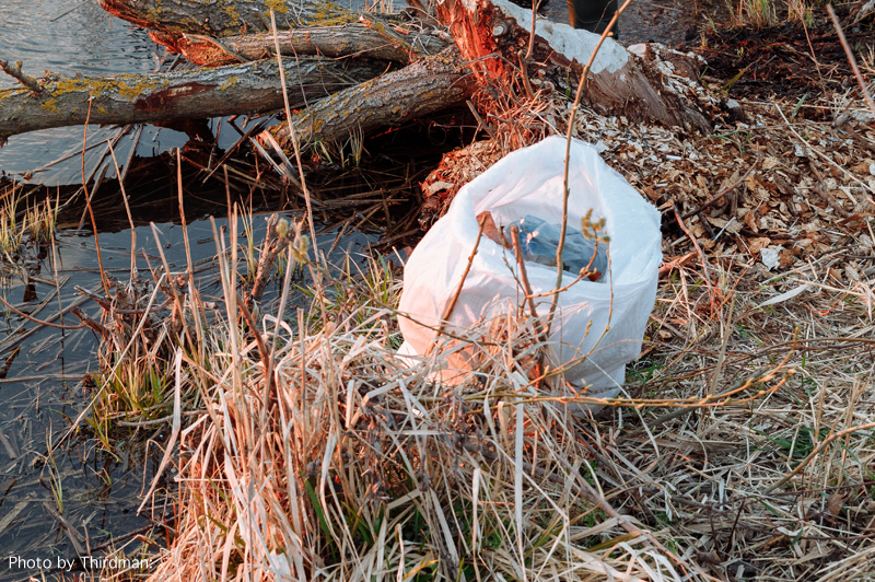 Brush Drop Off in Symmes Township