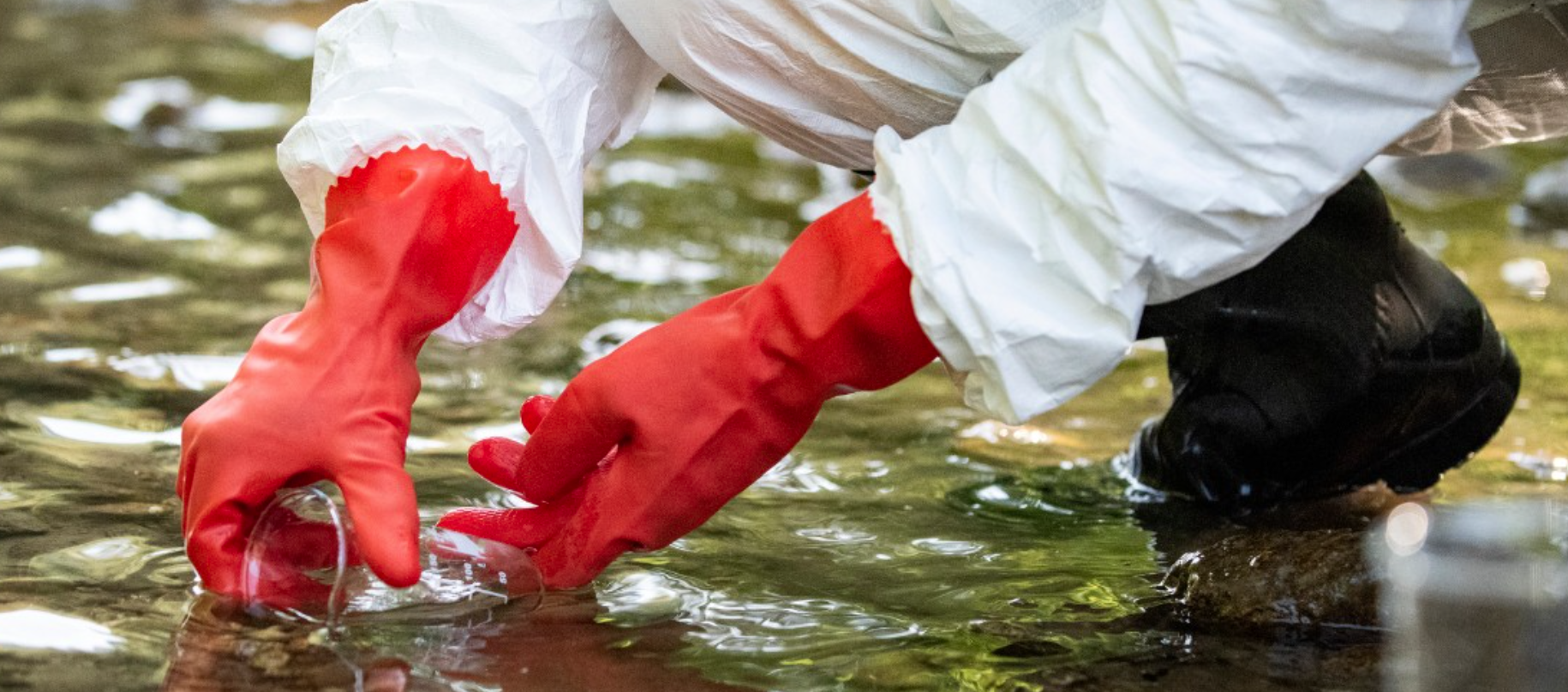 UC research shows PFAS (Forever Chemical) exposure may delay girls’ puberty