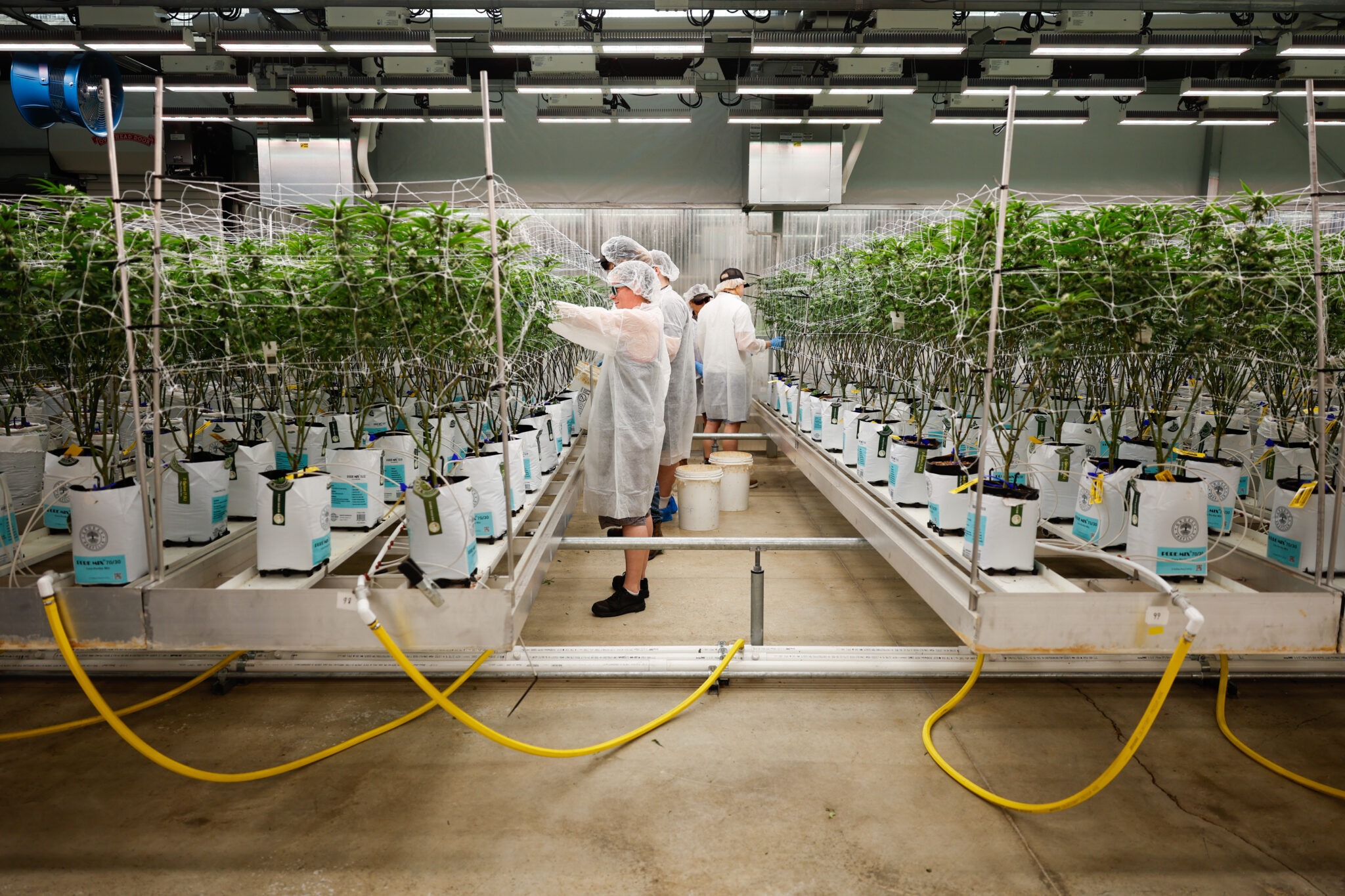 Recreational marijuana is legal in Ohio, but bills are trying to change the law