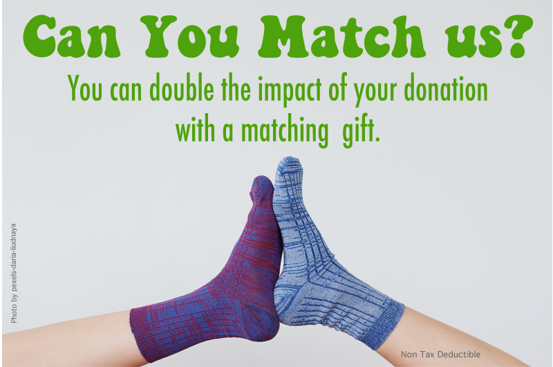 Our generous donor has graciously offered to match every dollar donated towards the purchase of a new laptop!