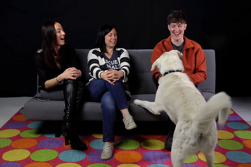 Cassie Brings the League for Animal Welfare to the Table of Discussions
