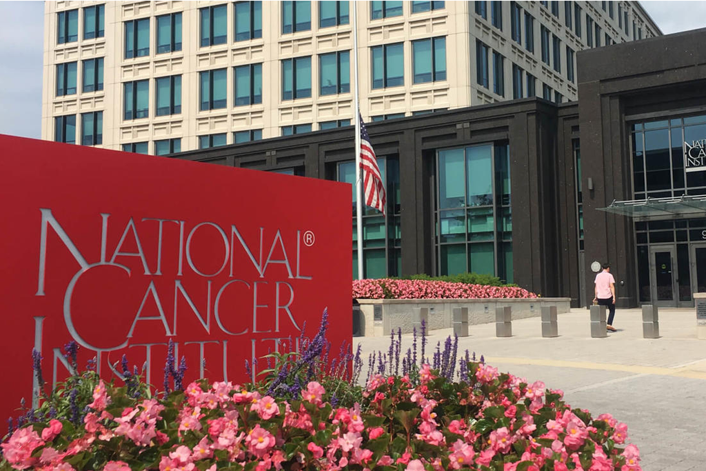 Breast Cancer Risk Assessment Tool: Online Calculator