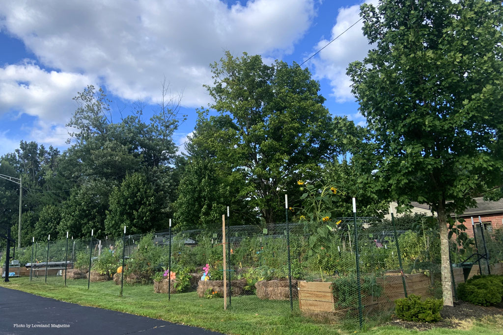 Did you know there is a Community Garden at Prince of Peace Lutheran Church?