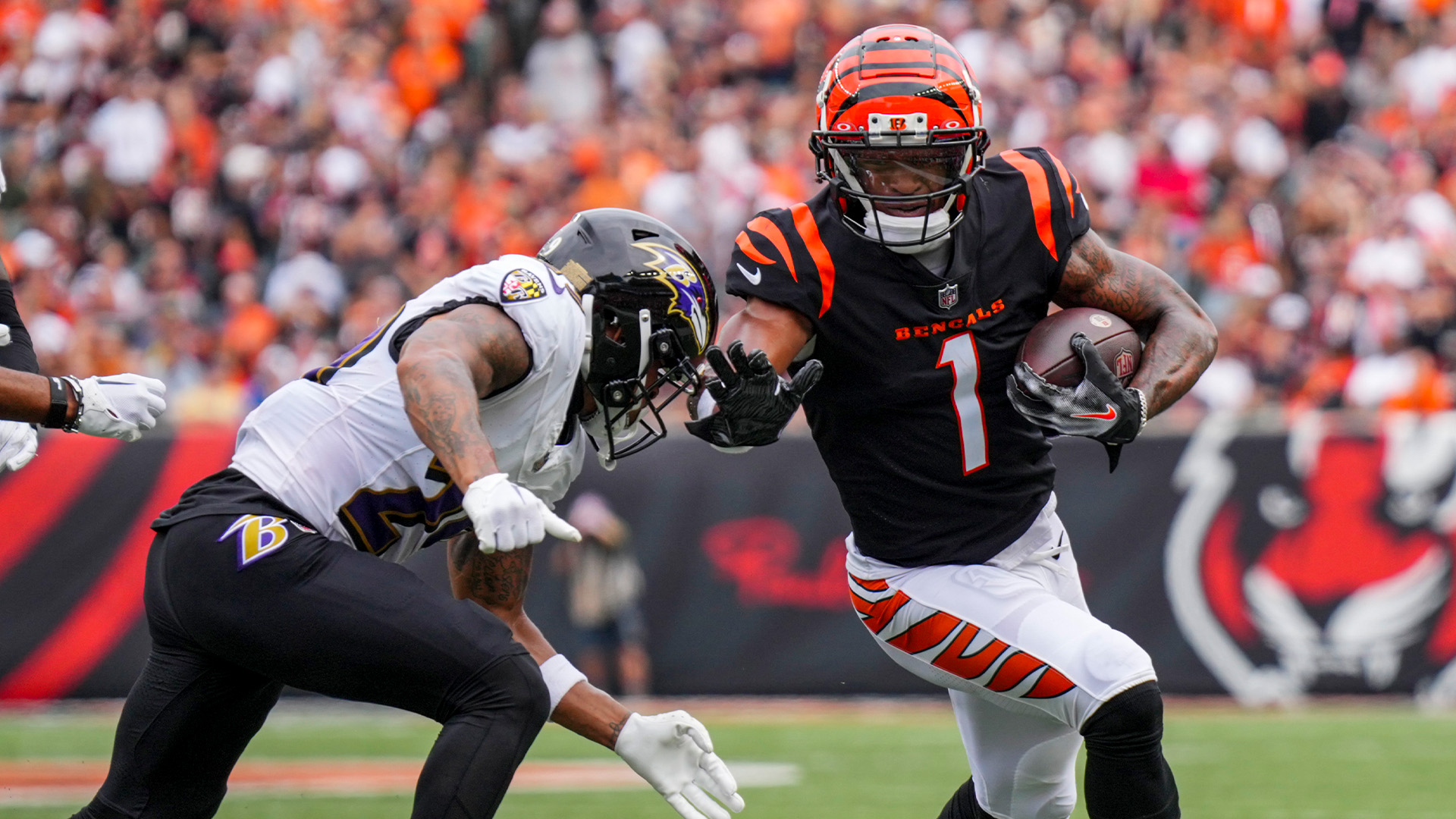 The Bengals Have A Win: How Do They Keep the Momentum Now?