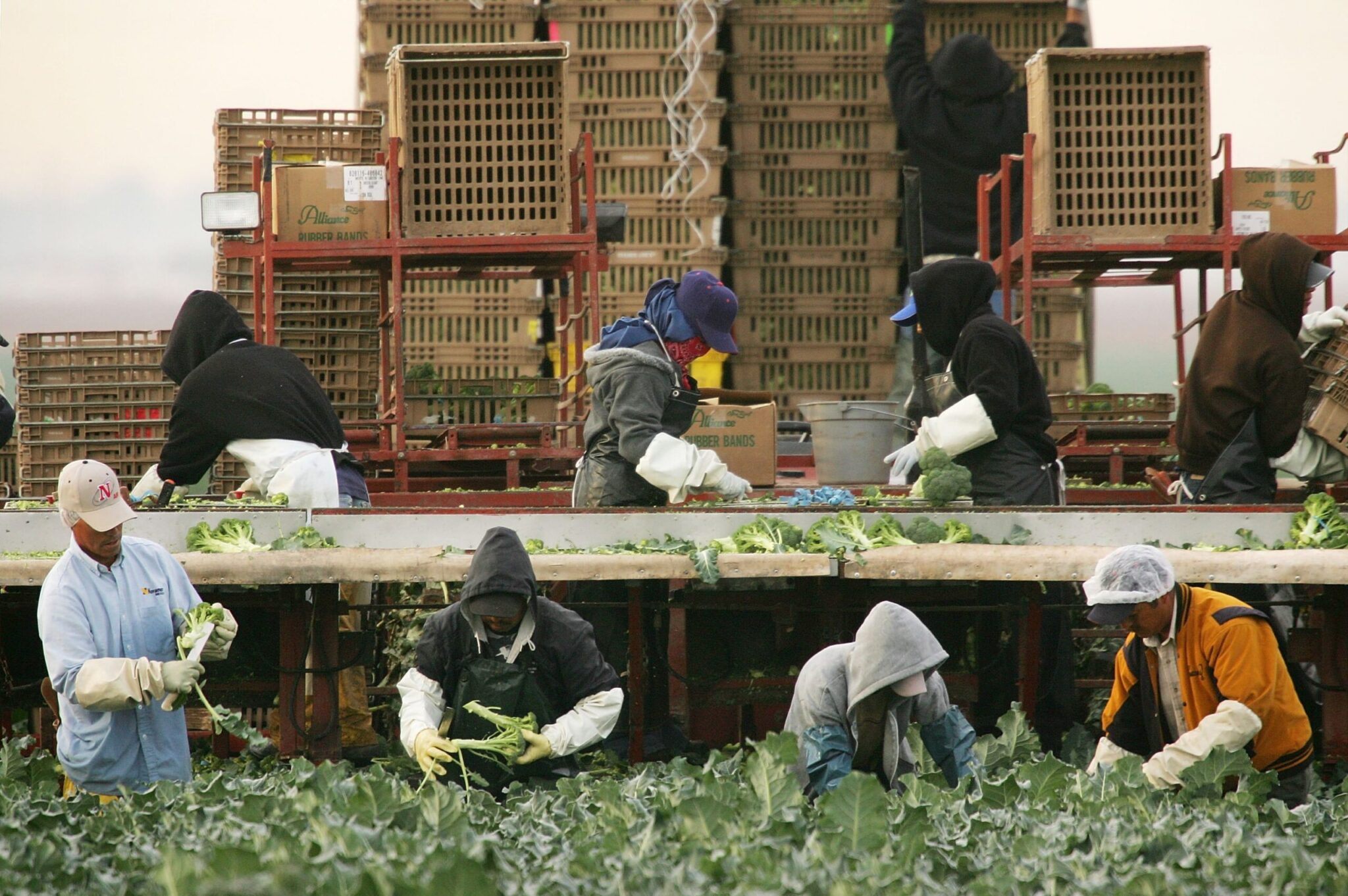 What would “mass deportations” do to Ohio’s economy?
