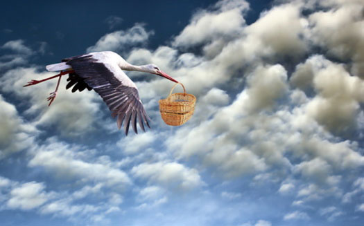 Ohio’s STORK Act: Tax relief for parents or a push against abortion rights?