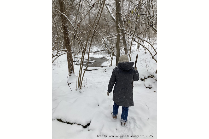 Natural Wonderings/Wanderings by Elizabeth (Schickel) Robinson