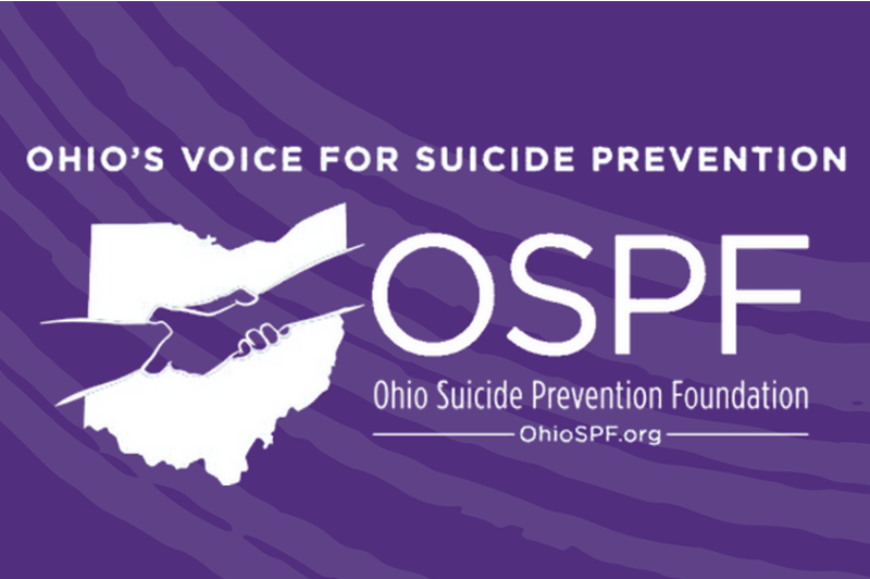 Peer-Led sources of strength program creates healthier school cultures, drastically reducing suicide attempts by 29%