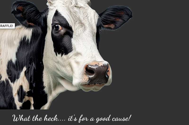 Quarter cow beef raffle will benefit the LIFE Food Pantry